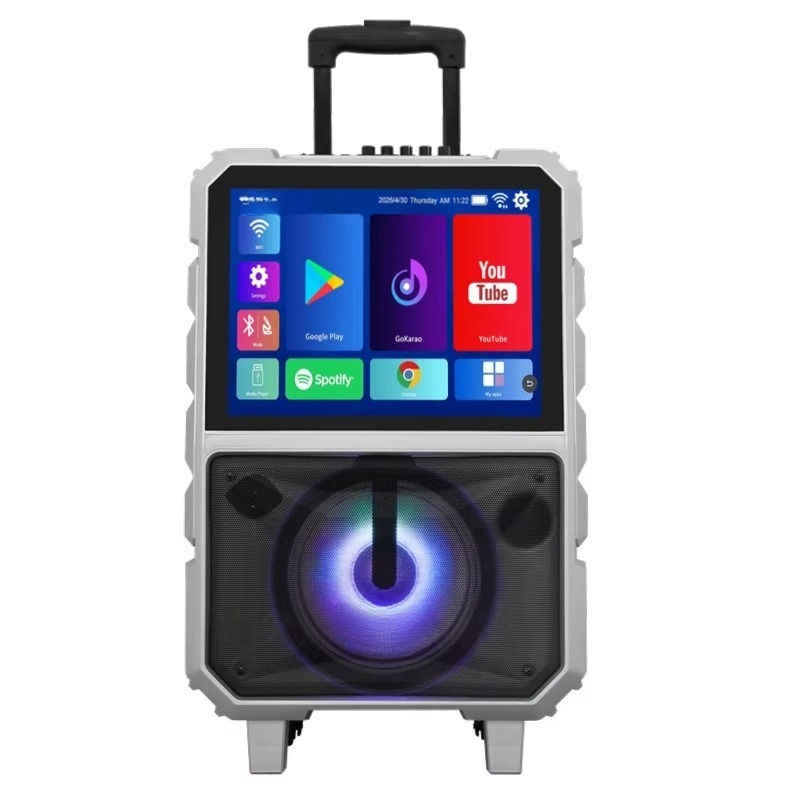 40W High Power Karaoke Machine - огляд і ціна Subwoofer