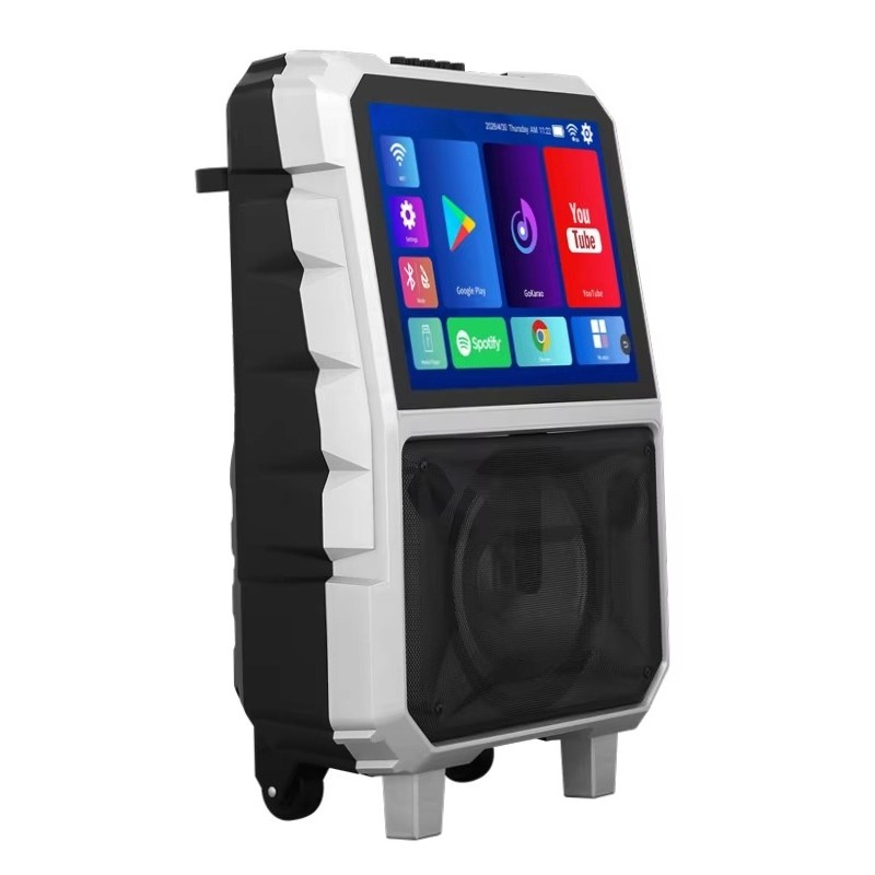40W High Power Karaoke Machine - огляд і ціна Subwoofer