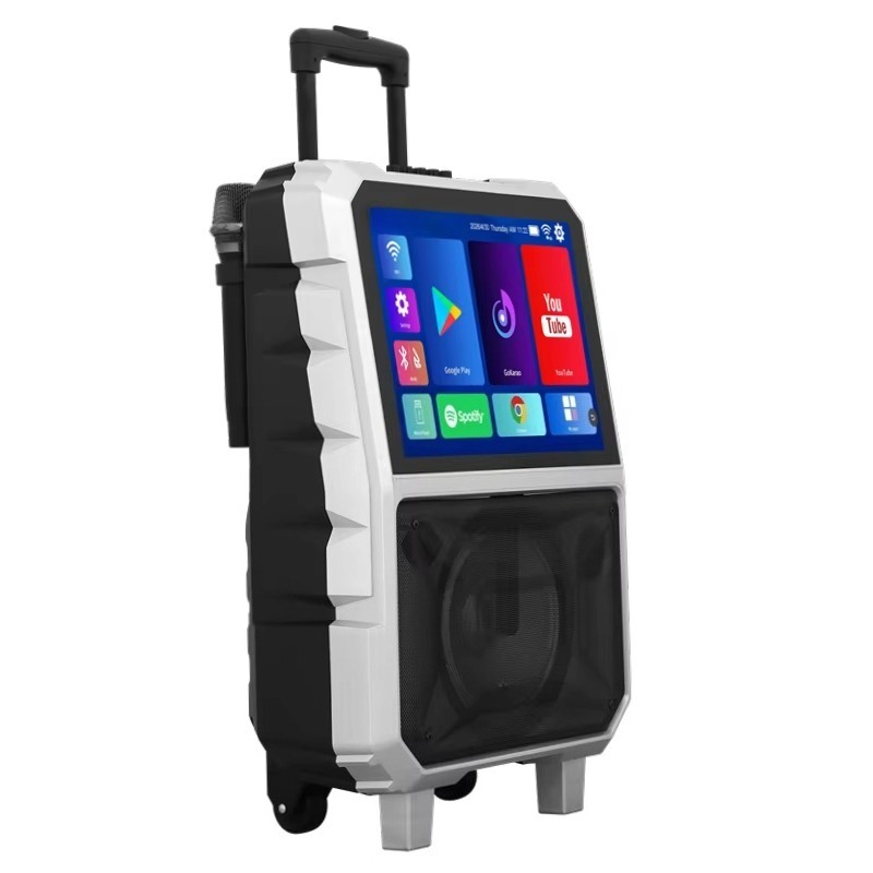40W High Power Karaoke Machine - огляд і ціна Subwoofer