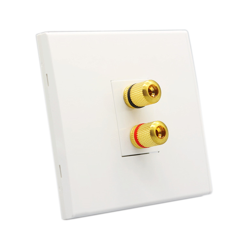 Audio Speaker Wall Panel Termi - огляд і ціна Speaker Terminal