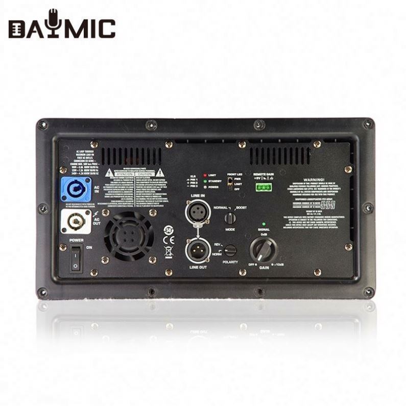 AOSHEN Class D DSP AMP 500x2 W - огляд і ціна Subwoofer
