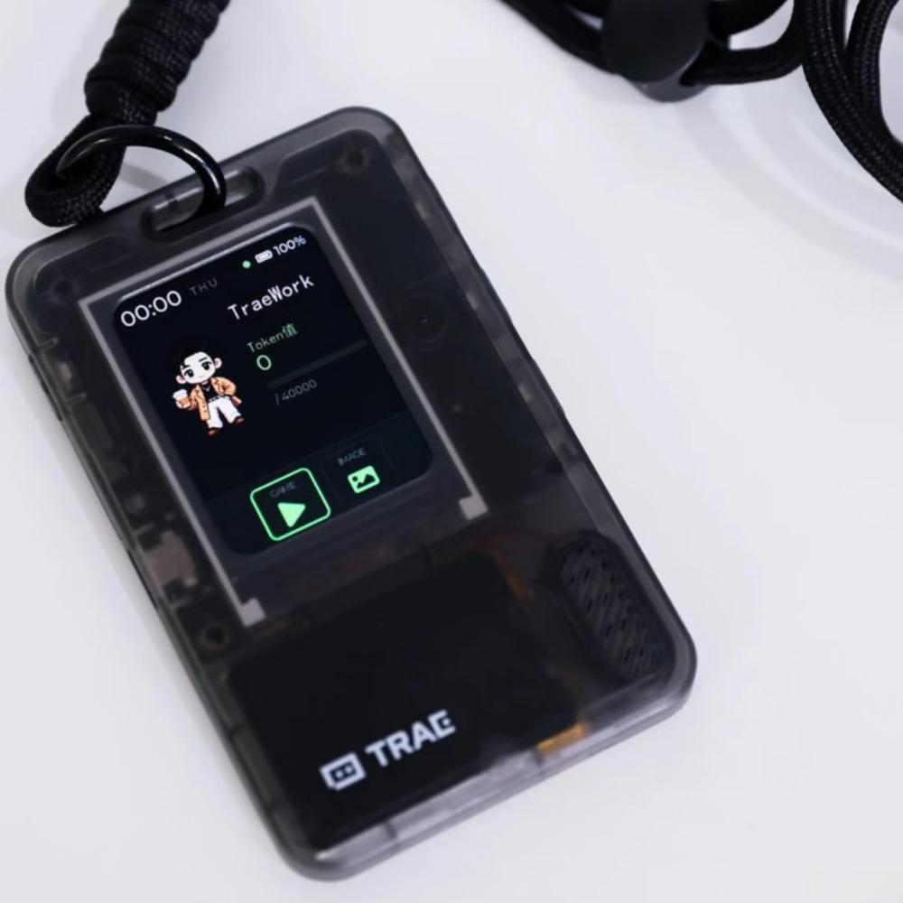 FoloToy AI PASSPORT Electronic - огляд і ціна Diy Speaker