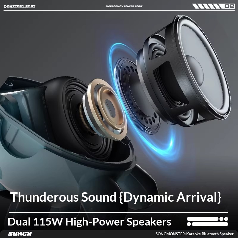 SONGX Audio Dual Microphone Du - огляд і ціна Full Range Speaker